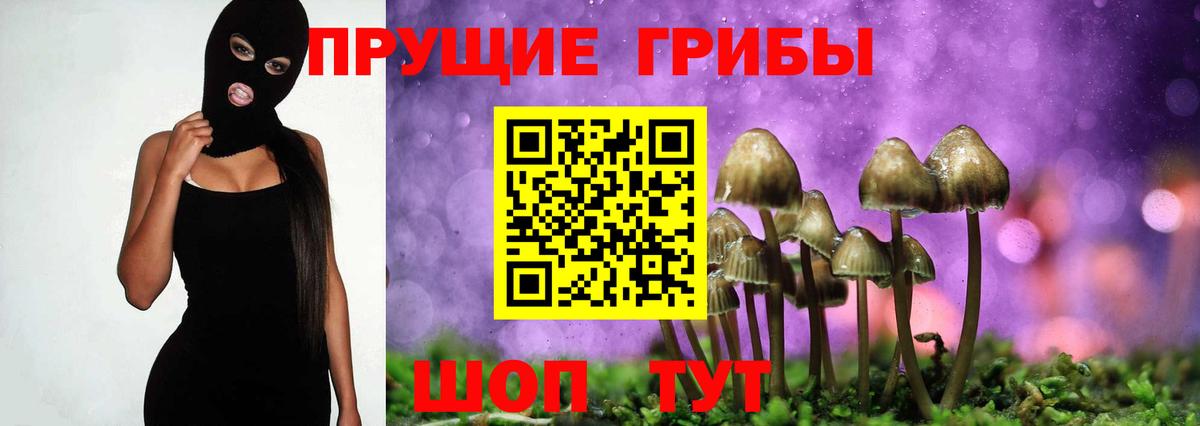 Псилоцибиновые грибы MAGIC MUSHROOMS  наркошоп  Псилоцибиновые грибы MAGIC MUSHROOMS  Вышний Волочёк  Вход с VPN 